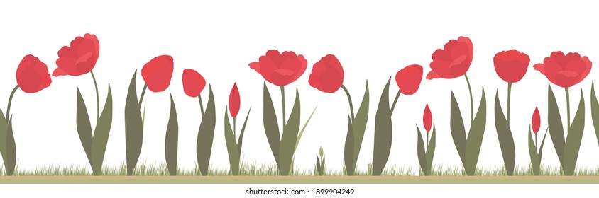 Seamless vector border with red tulips. Flowers are buds, green leaves on a white background. Suitable for fabric, production, textile, web, screen saver, background, decoration, design.