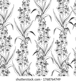Seamless vector botanical pattern with sketches of hairy willowherb plants on white background. Flowers and herbs. For textiles, fabrics, covers, wallpapers, print, wrapping gift