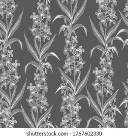 Seamless vector botanical pattern with white sketches of hairy willowherb plant on gray background. Flowers and herbs. For textiles, fabrics, covers, wallpapers, print, wrapping gift