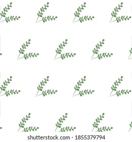 seamless vector botanical patterns with home gardening plants