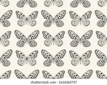 Seamless vector butterflies pattern. Butterfly print. Trendy animal motif wallpaper. Fashionable background for fabric, textile, design, banner, cover, web etc.