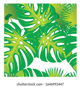 Seamless vector color pattern of leaves of tropical forest plants