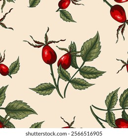 Seamless vector colorful dog rose flower pattern, botanical sketch. Wild rose texture background