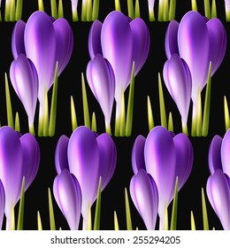 Seamless vector crocuses background, bright shiny spring flower pattern on a dark  background