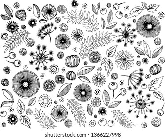 Seamless vector draw pattern illustration with botanical set+endless texture plants with isolated elements black on white background monochrome floral nature