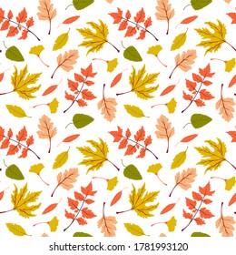 Seamless vector fall pattern with bright autumn leaves. Beautiful floral repeat pattern with colorful autumn leaves on white background