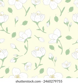 Seamless vector floral background with jasmine and leaf Hand drawn illustration.