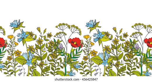 Seamless vector floral border with colored herbs and wild flowers. Herbal foliage aromatic flower and illustration organic flower seamless