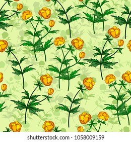 Seamless vector floral pattern. Floral background of yellow Ranunculus with plant shadows on light green background.