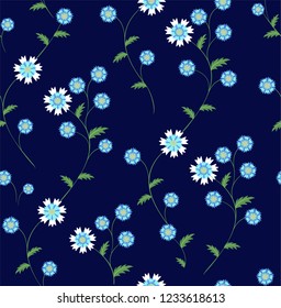 Seamless vector floral pattern with basketflower  flowers, cornflowers, loggerheads 