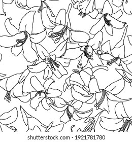 Seamless vector floral pattern. Black and white lily flowers background. Vector illustration.