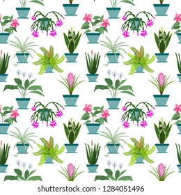 seamless vector floral pattern, house plants vector 
