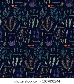 Seamless vector floral pattern with medicinal herbs - lavender, rosemary, arugula, laurus, artemisia