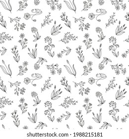 Seamless vector floral pattern, wildflowers hand drawn graphic botanical illustration, doodle sketch isolated on white background