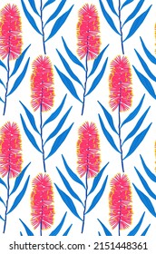 Seamless vector floral print. Bright blue-red flowers and leaves of callistemon on a white background.