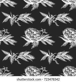 Seamless vector flower peony rose pattern with sketch flowers and leafs. Hand drawn image