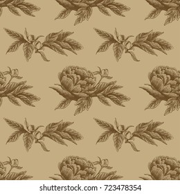 Seamless vector flower peony rose pattern with sketch flowers and leafs. Hand drawn image