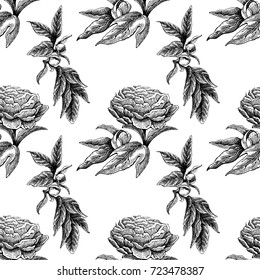 Seamless vector flower peony rose pattern with sketch flowers and leafs. Hand drawn image