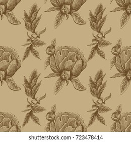 Seamless vector flower peony rose pattern with sketch flowers and leafs. Hand drawn image