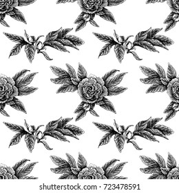 Seamless vector flower peony rose pattern with sketch flowers and leafs. Hand drawn image