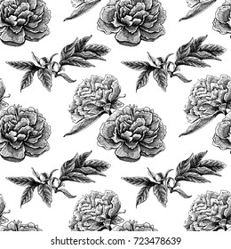 Seamless vector flower peony rose pattern with sketch flowers and leafs. Hand drawn image