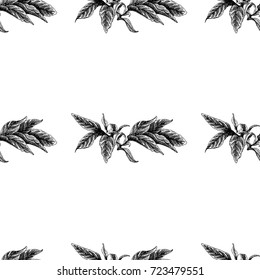 Seamless vector flower peony rose pattern with sketch flowers and leafs. Hand drawn image