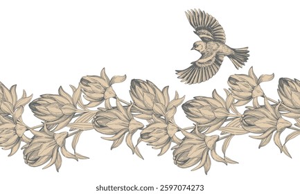 Seamless vector graphic border of artichoks and bird. Handmade illustration of artichoke ink style. For poster, cards, fabric, design, decoration and botanical illustration.