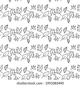 Seamless vector hand drawn autumn pattern on white isolated background. Print leaves in doodle style with black line . Designs for wrapping paper, textiles, packaging, social media, web, wallpaper.