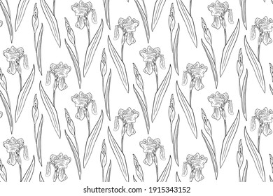 Seamless vector hand drawn pattern with monochrome iris flowers, leaves and buds