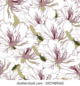 Seamless vector hand drawn pattern Bauhinia flower. Line drawing partially colored.