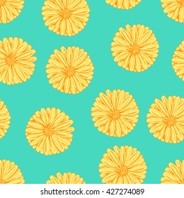 Seamless vector herbal background with flowers of Calendula.Orange on green. Looks like Daisy or chamomile. Hand drawn floral illustration for print, wrapping, fabric and other seamless design.