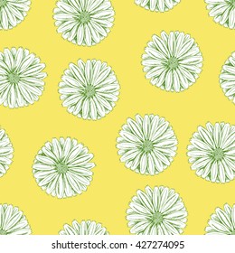 Seamless vector herbal background with flowers of Calendula on yellow. Looks like Daisy or chamomile. Hand drawn floral illustration for print, wrapping, fabric and other seamless design.