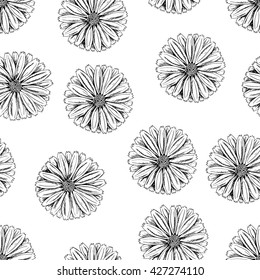 Seamless vector herbal background with flowers of Calendula. Looks like Daisy or chamomile. Black and white. Hand drawn floral illustration for print, wrapping, fabric and other seamless design.