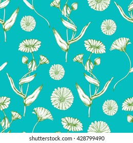Seamless vector herbal background with flowers of Calendula on blue. Looks like Daisy or chamomile.  Hand drawn floral illustration for print, wrapping, fabric and other seamless design.