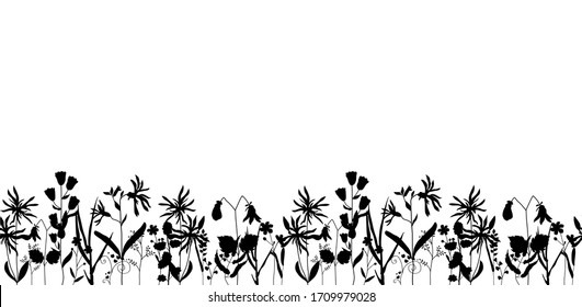 Seamless vector horizontal border of contour black plants. Wildflowers and herbs are hand drawn in ink. Stock illustration isolated on white background. Design for template, label.