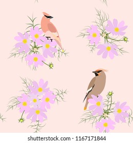 Seamless vector illustration with bird waxwings and wildflowers. For decorating textiles, packaging, wallpapers, web design.