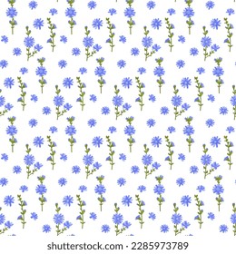 Ilustración vectorial sin foco de flores de achicoria azul, brotes de flores sobre un fondo blanco, texturadas. Patrón floral para tela, embalaje, superficie.