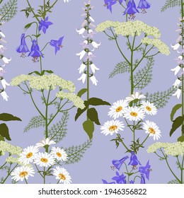 Seamless vector illustration with  campanula , aquilegia and chamomile on a blue background . For decorating textiles, packaging, wallpaper.