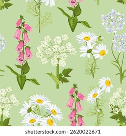 Seamless vector illustration with chamomile, angelica and digitalis on a green background. For decorating textiles, packaging