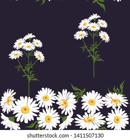 Seamless vector illustration with field chamomile on a black background. For decoration of textiles, packaging, wallpaper.
