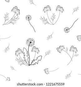 Seamless vector illustration with field herbs on a white background. For decoration of textiles, packaging, web design.
