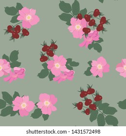 Seamless vector illustration with flowers of wild rose . For decoration of textiles, packaging, web design.