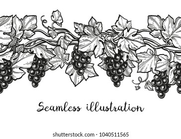 Seamless vector illustration of grapes. Hand drawn ink sketch isolated on white background. Retro style.