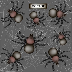 Seamless Vector Illustration Of Many Spiders Running Around In A Web Of Scary Decorative Background
