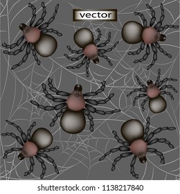 Seamless vector illustration of many spiders running around in a web of scary decorative background