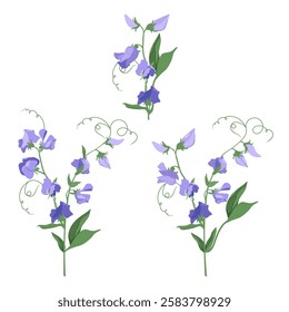 Seamless vector illustration with pink pelargonium and pansies on a white background. For decorating textiles, packaging, paper.