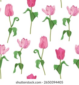 Ilustração de vetor sem costura com tulipas cor-de-rosa flores em um fundo branco. Para decorar têxteis, embalagens, papel de parede.