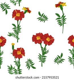 Seamless vector illustration with red marigolds on a white background. For decorating textiles, packaging, paper.