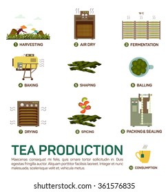 Seamless vector illustration of tea harvesting, air dry, fermentation, baking, shaping, balling, drying, spicing, packing and sealing, consumption