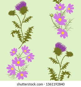 Seamless vector illustration with thistle and cosme. For decorating textiles, packaging, web design.